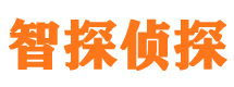 大丰捉小三公司